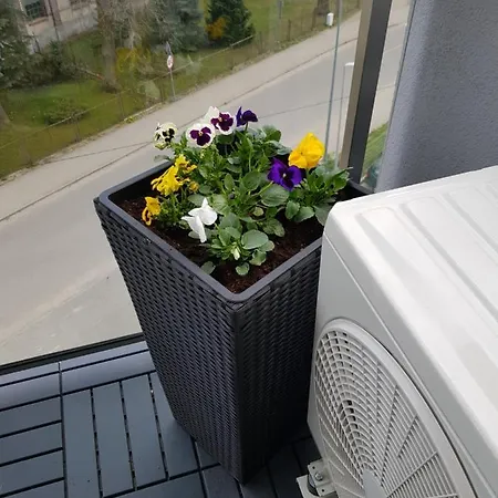 Apartamento Limanowskiego *